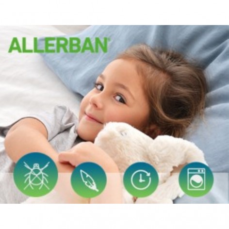 Anti-allergy Duvets and Bedding